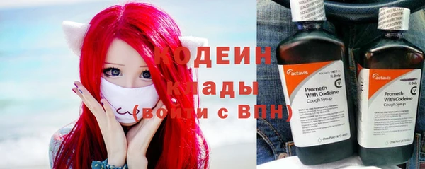 твердый Лагань