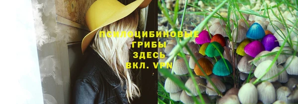 apvp Лабытнанги