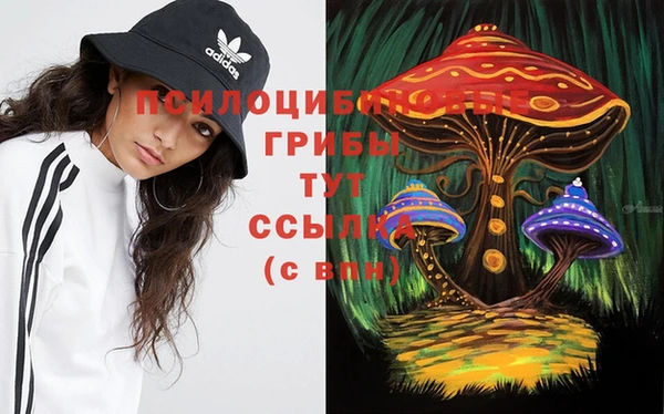 apvp Лабытнанги