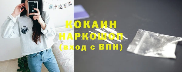 твердый Лагань