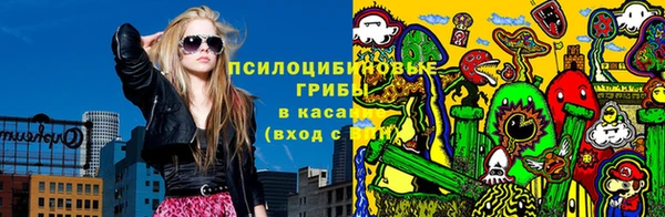 твердый Лагань