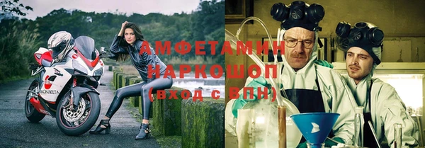 твердый Лагань