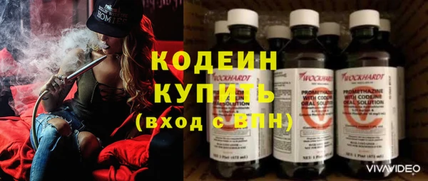 твердый Лагань