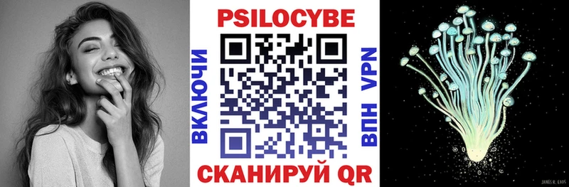 Псилоцибиновые грибы Psilocybine cubensis  Купить где  Калач 