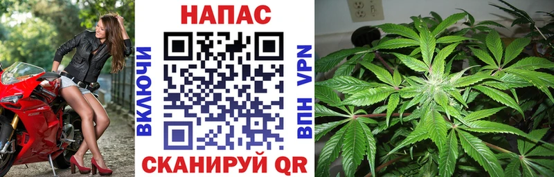 Купить закладки  Калач  Бошки марихуана Ganja 